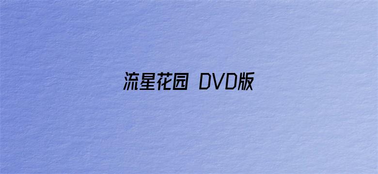 流星花园 DVD版